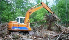 Clearing Trees with Excavator
